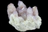 Cactus Quartz (Amethyst) Cluster - South Africa #80005-1